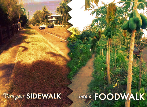 Sidewalk into food walk